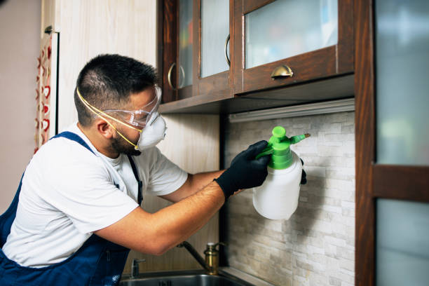 Best Best Pest Control Companies  in Comer, GA