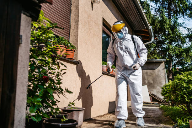 Best Best Pest Control Companies  in Comer, GA