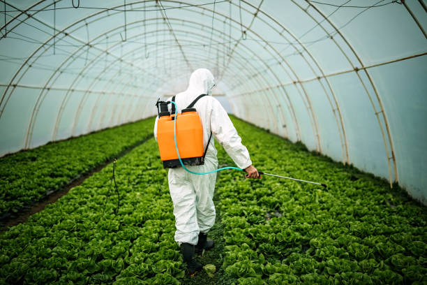 Best Pest Control Treatment  in Comer, GA