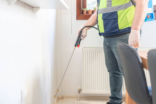 Best Affordable Pest Control Services  in Comer, GA