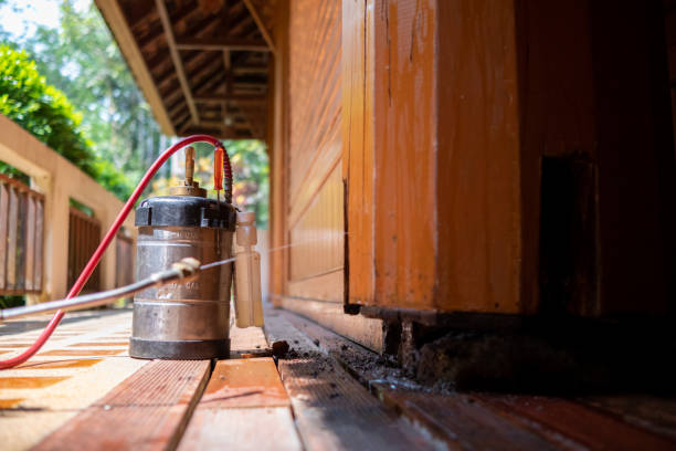 Best Best Pest Control Companies  in Comer, GA