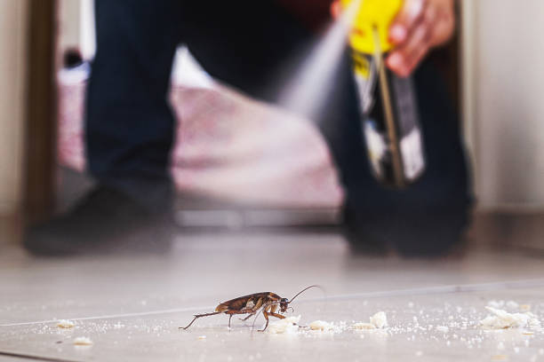 Best Pest Prevention Services  in Comer, GA